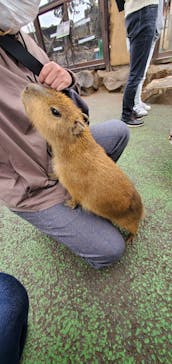 伊豆シャボテン動物公園に投稿された画像（2022/3/19）