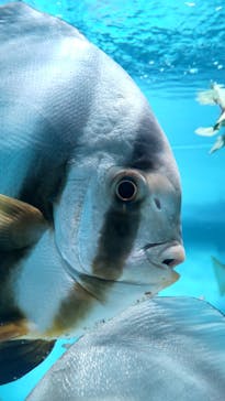 サンシャイン水族館に投稿された画像（2022/3/19）