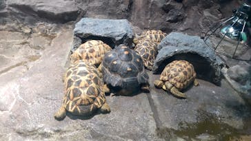 サンシャイン水族館に投稿された画像（2022/3/19）