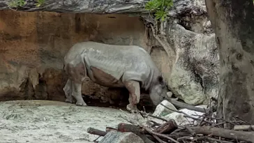 天王寺動物園に投稿された画像（2022/3/19）