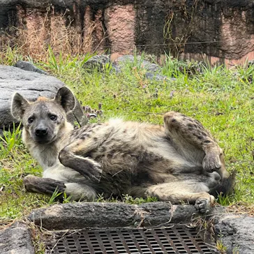 天王寺動物園に投稿された画像（2022/3/19）