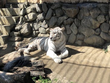 東武動物公園に投稿された画像（2022/3/19）