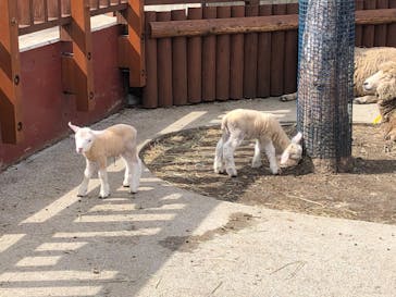 東武動物公園に投稿された画像（2022/3/19）