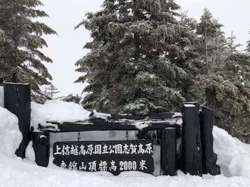 志賀高原中央エリアスキー場に投稿された画像（2022/3/19）