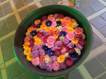 せんだい農業園芸センター　みどりの杜に投稿された画像（2022/3/19）