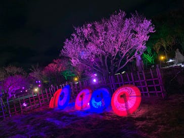 せんだい農業園芸センター　みどりの杜に投稿された画像（2022/3/19）