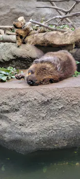 神戸どうぶつ王国に投稿された画像（2022/3/19）