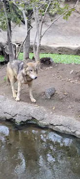 神戸どうぶつ王国に投稿された画像（2022/3/19）