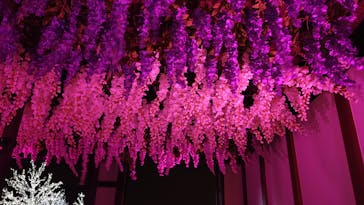 東京メガイルミに投稿された画像（2022/3/19）