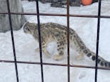 旭川市旭山動物園に投稿された画像（2022/3/19）