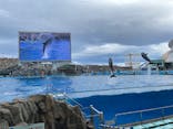 名古屋港水族館に投稿された画像（2022/3/19）