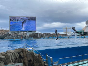名古屋港水族館に投稿された画像（2022/3/19）