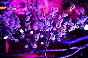 せんだい農業園芸センター　みどりの杜に投稿された画像（2022/3/19）