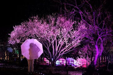 せんだい農業園芸センター　みどりの杜に投稿された画像（2022/3/19）