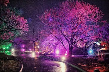 せんだい農業園芸センター　みどりの杜に投稿された画像（2022/3/19）