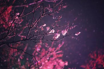 せんだい農業園芸センター　みどりの杜に投稿された画像（2022/3/19）