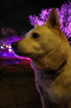 せんだい農業園芸センター　みどりの杜に投稿された画像（2022/3/19）