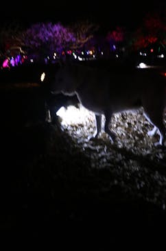 せんだい農業園芸センター　みどりの杜に投稿された画像（2022/3/19）