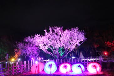 せんだい農業園芸センター　みどりの杜に投稿された画像（2022/3/19）