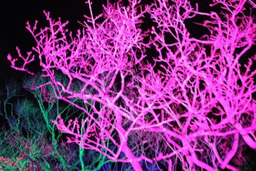 せんだい農業園芸センター　みどりの杜に投稿された画像（2022/3/19）