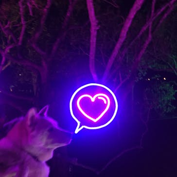 せんだい農業園芸センター　みどりの杜に投稿された画像（2022/3/19）