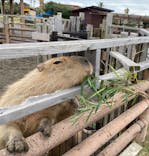 アロハガーデンたてやまに投稿された画像（2022/3/19）