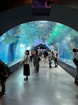 マクセル アクアパーク品川に投稿された画像（2022/3/19）