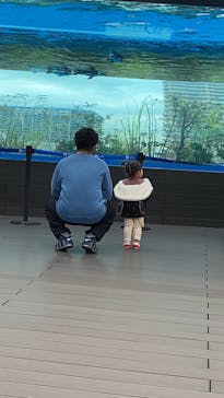 サンシャイン水族館に投稿された画像（2022/3/19）