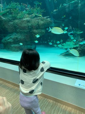 名古屋港水族館に投稿された画像（2022/3/19）