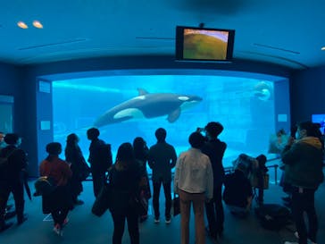 名古屋港水族館に投稿された画像（2022/3/19）