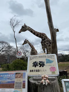 天王寺動物園に投稿された画像（2022/3/19）
