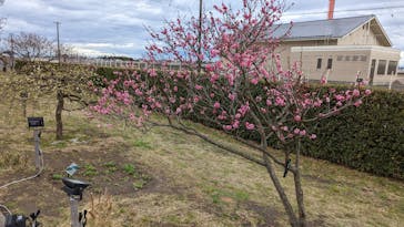 せんだい農業園芸センター　みどりの杜に投稿された画像（2022/3/19）