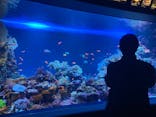 サンシャイン水族館に投稿された画像（2022/3/20）