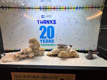 アクアワールド茨城県大洗水族館に投稿された画像（2022/3/20）