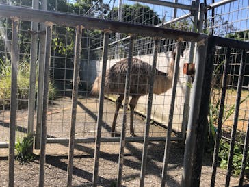 沖縄こどもの国に投稿された画像（2022/3/10）
