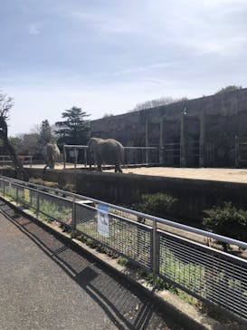 東武動物公園に投稿された画像（2022/3/20）