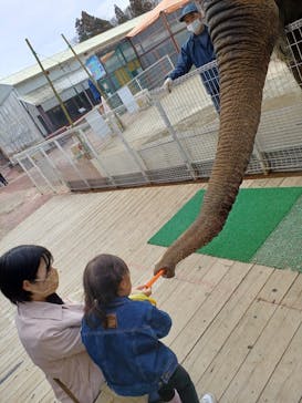 那須ワールドモンキーパークに投稿された画像（2022/3/20）