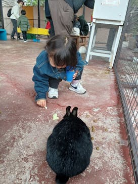 那須ワールドモンキーパークに投稿された画像（2022/3/20）