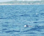 Sea World（シーワールド）に投稿された画像（2022/3/20）