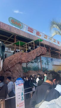 グリーンランドに投稿された画像（2022/3/20）