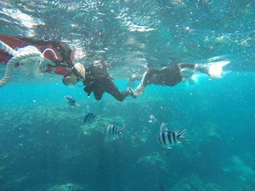 DIVING-SHOP SUNSに投稿された画像（2022/3/20）