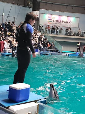 マクセル アクアパーク品川に投稿された画像（2022/3/20）