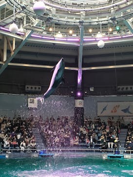 マクセル アクアパーク品川に投稿された画像（2022/3/20）