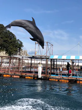 うみたま体験パーク 「つくみイルカ島」に投稿された画像（2022/3/20）