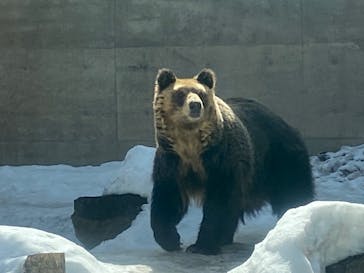 旭川市旭山動物園に投稿された画像（2022/3/20）