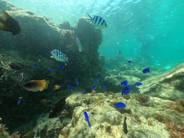 武藤潜水に投稿された画像（2022/3/20）