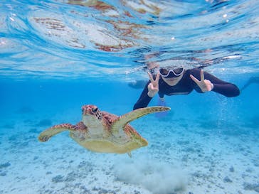 ちゃこたびに投稿された画像（2022/3/20）