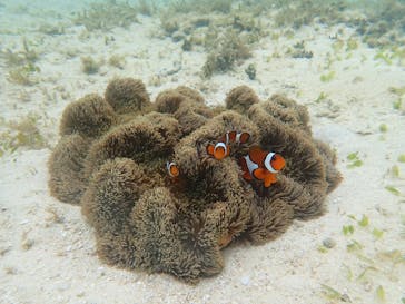 ちゃこたびに投稿された画像（2022/3/20）