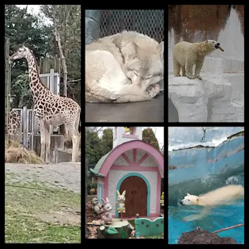 天王寺動物園に投稿された画像（2022/3/20）