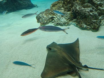 サンシャイン水族館に投稿された画像（2022/3/20）